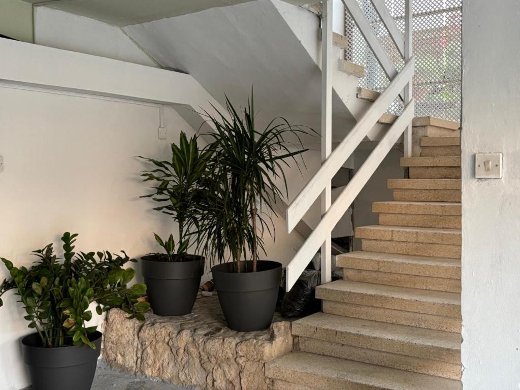 Venus Lighthouse 2B, Sea-View, Paphos Center Apartamento Exterior foto